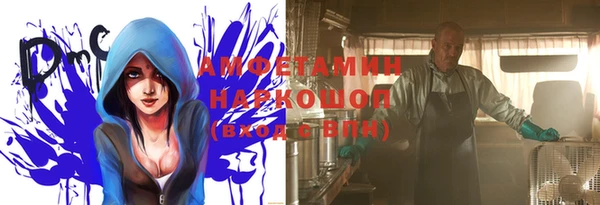 стафф Аркадак
