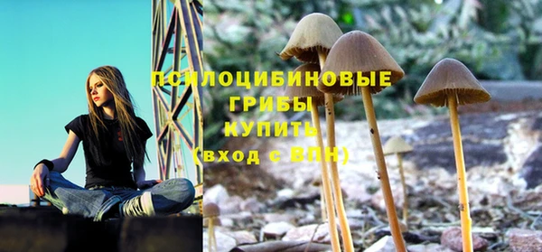 стафф Аркадак