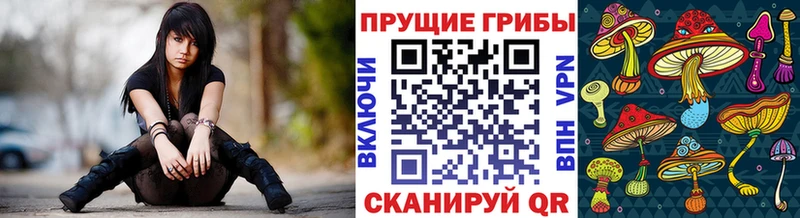 закладки  Белинский  Псилоцибиновые грибы ЛСД 