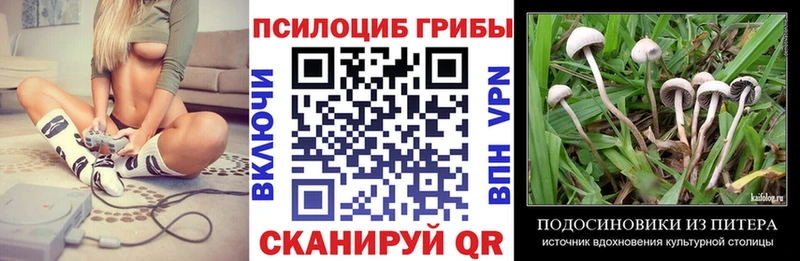 Псилоцибиновые грибы Cubensis Белинский