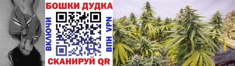 Марихуана сатива Белинский